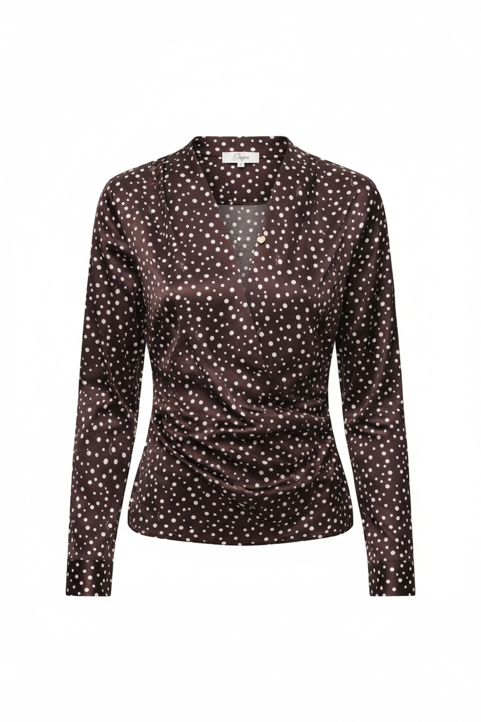 Polka Dot V-Neck Long Sleeve Blouse zdjęcie 1