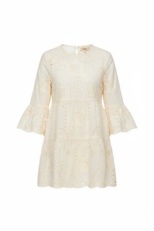 Embroidered Eyelet Mini Dress