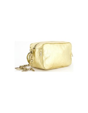 Shimmering Gold Metallic Zipper Pouch Bag with Chain