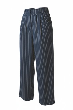 Pinstriped Pleated Regular Pants